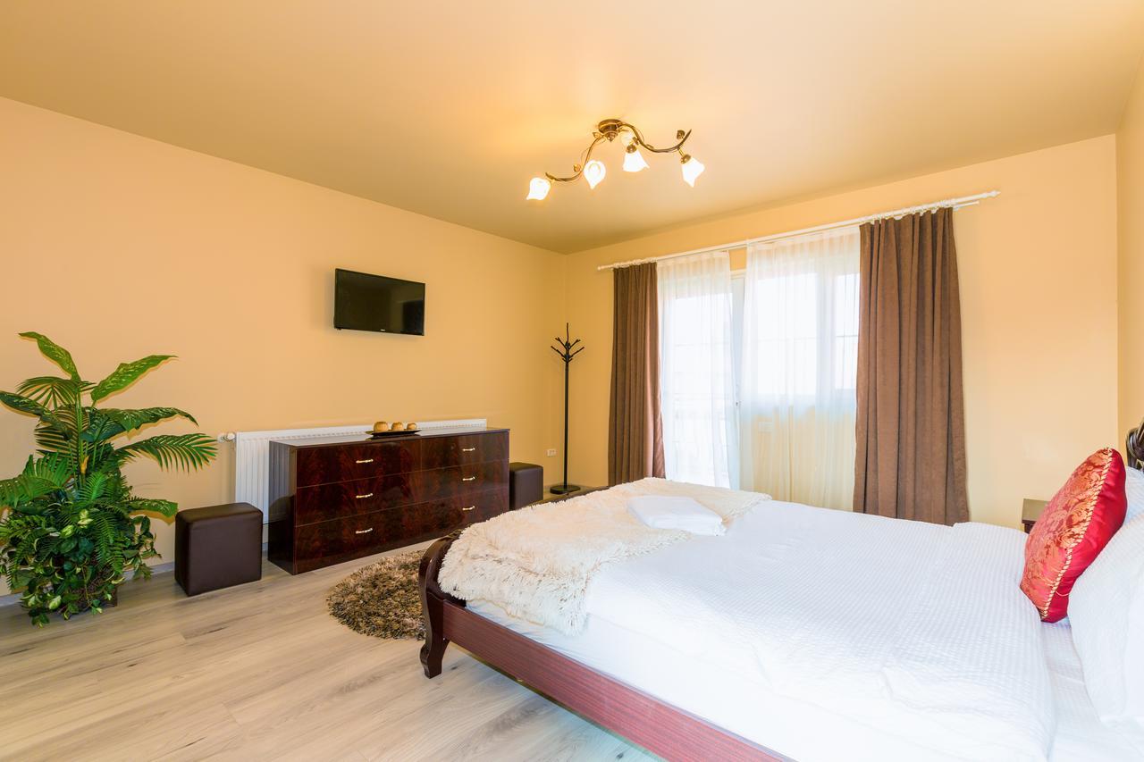 Vila Nicole Hotel Hateg Exterior photo